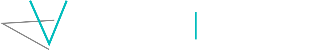 Virtual Actuary Logo